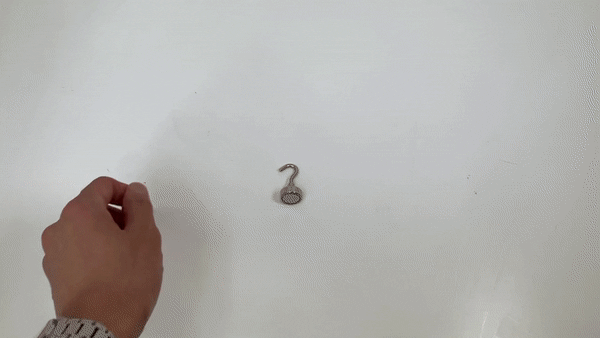 732975028ec8f63c4cca6dfc69c920c1_1709195010_7382_1710395848.gif